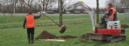 Aanplanten 400 bomen voor Volk Boomzorg